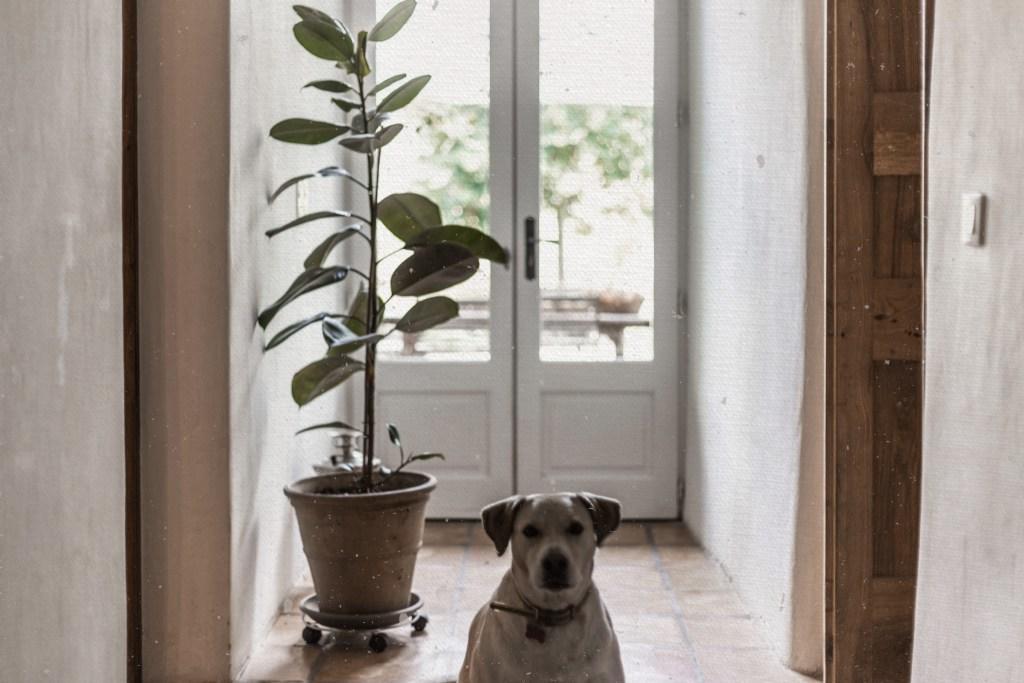 Residence Crone Castillon-en-Couserans Extérieur photo